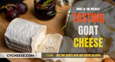 Goat Cheese for Beginners: Mildest Flavors to Try