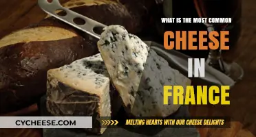 France's Favorite Cheese: Uncovering the Most Common Cheese in French Cuisine