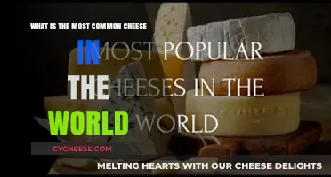 The World's Most Popular Cheese: A Global Culinary Staple
