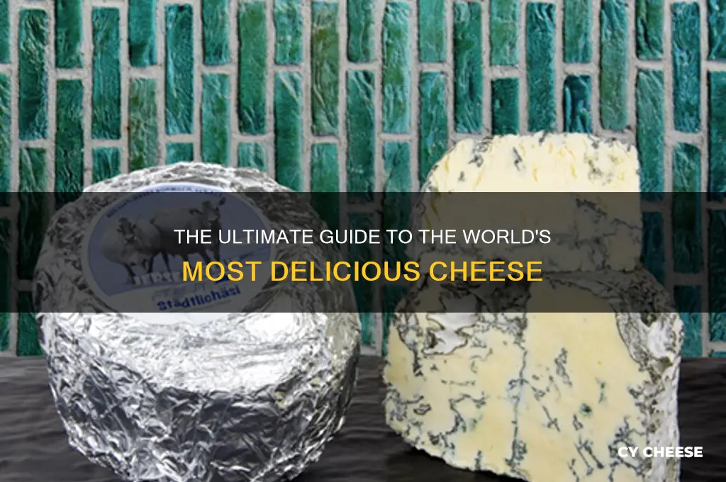 what is the most delicious cheese in the world