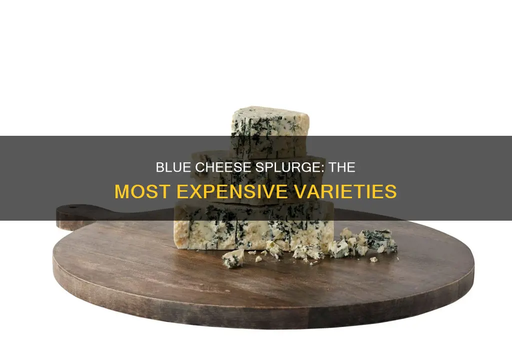 what is the most expensive blue cheese