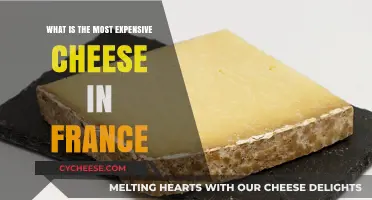 France's Priciest Cheese: Unveiling the Most Expensive Delicacy