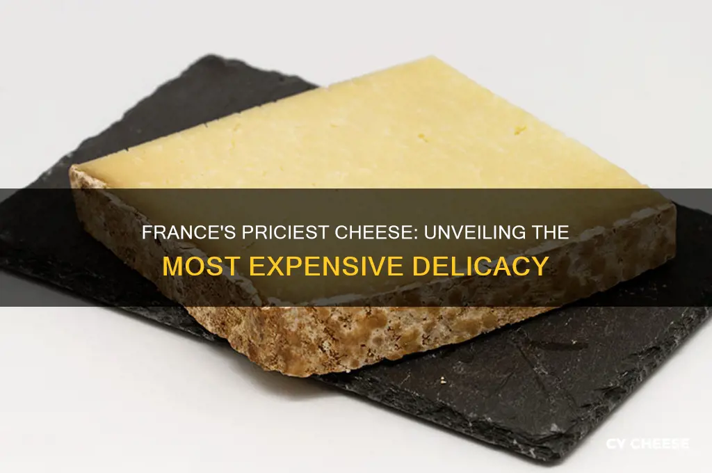 what is the most expensive cheese in france
