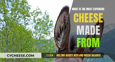 The Most Costly Cheese: What's It Made Of?