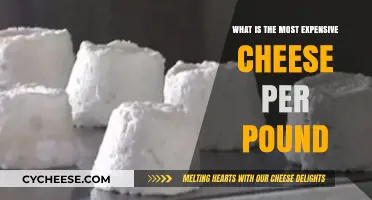 The World's Priciest Cheese: Unveiling the Most Expensive Per Pound