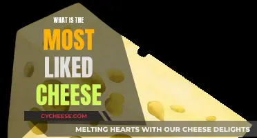 The Ultimate Guide to the World's Favorite Cheese