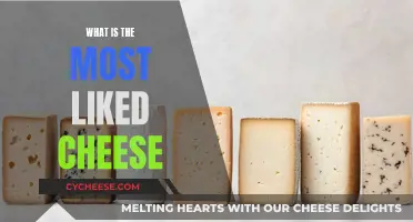 The Cheesiest Delight: What's the Most-Liked Cheese?