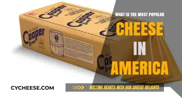 America's Favorite Cheese: Uncovering the Top Pick in Every State