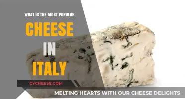 Italy's Favorite Cheese: Unveiling the Country's Most Popular Dairy Delight