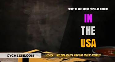 America's Favorite Cheese: Unveiling the Top Choice in the USA