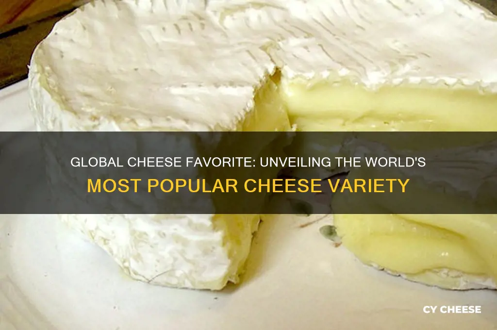 what is the most popular cheese in the world