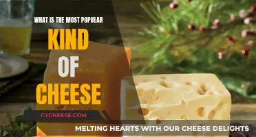 Trending Cheeses: What's the Most Popular Type?