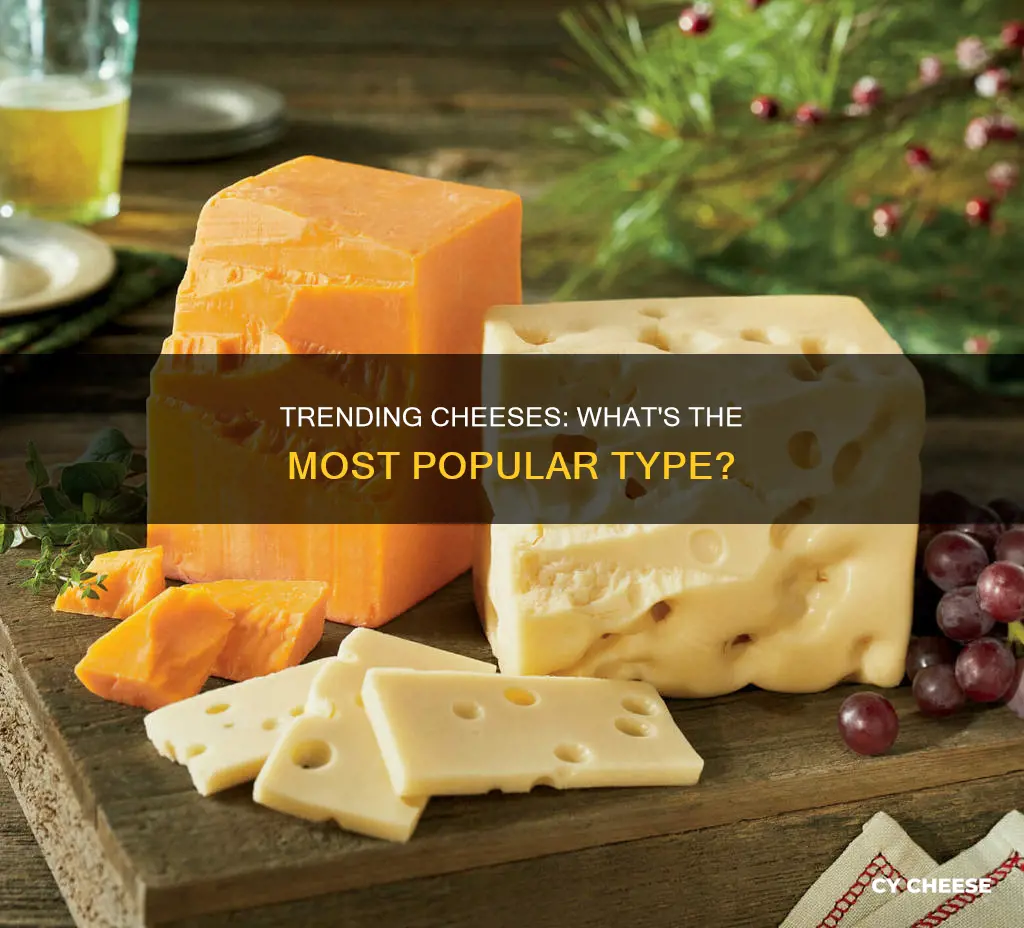 what is the most popular kind of cheese