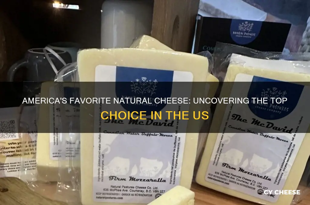 what is the most popular natural cheese in the us
