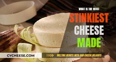 The Stinkiest Cheeses: A Guide to the Smelliest Varieties