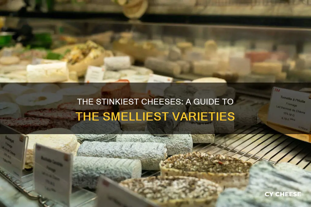 what is the most stinkiest cheese made