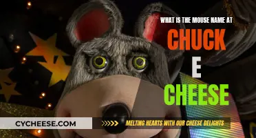 Chuck E. Cheese's Main Mouse: Uncovering the Star's Name