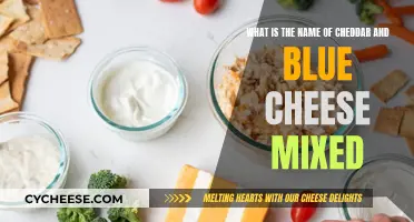 The Cheddar-Blue Cheese Blend: A Delicious Fusion