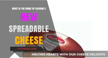Galbani's New Creamy Spreadable Cheese: A Delicious Discovery