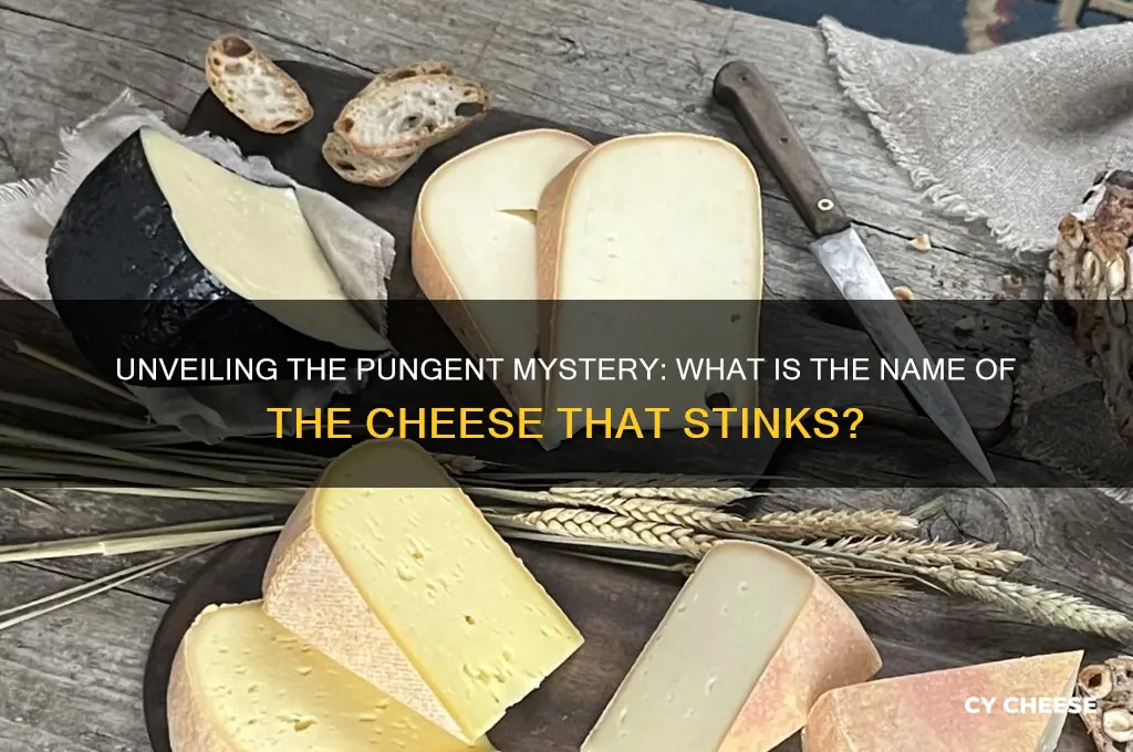 what is the name of the cheese that stinks