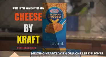 Kraft's New Cheese: Unveiling the Name and Flavor Profile