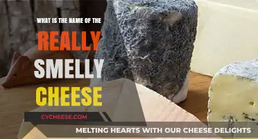 Unveiling the Pungent Mystery: What’s the Name of That Smelly Cheese?