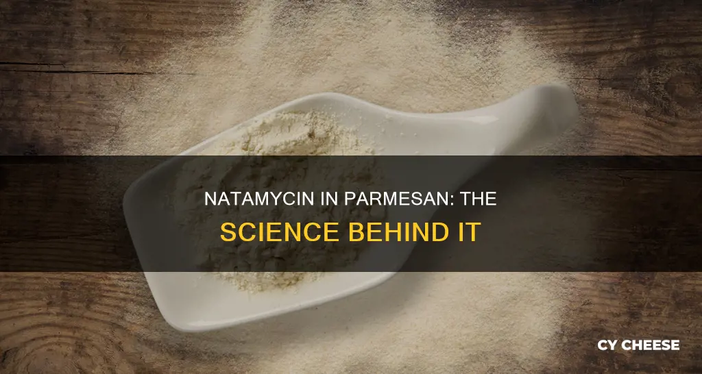 what is the natamycin in parmesan cheese