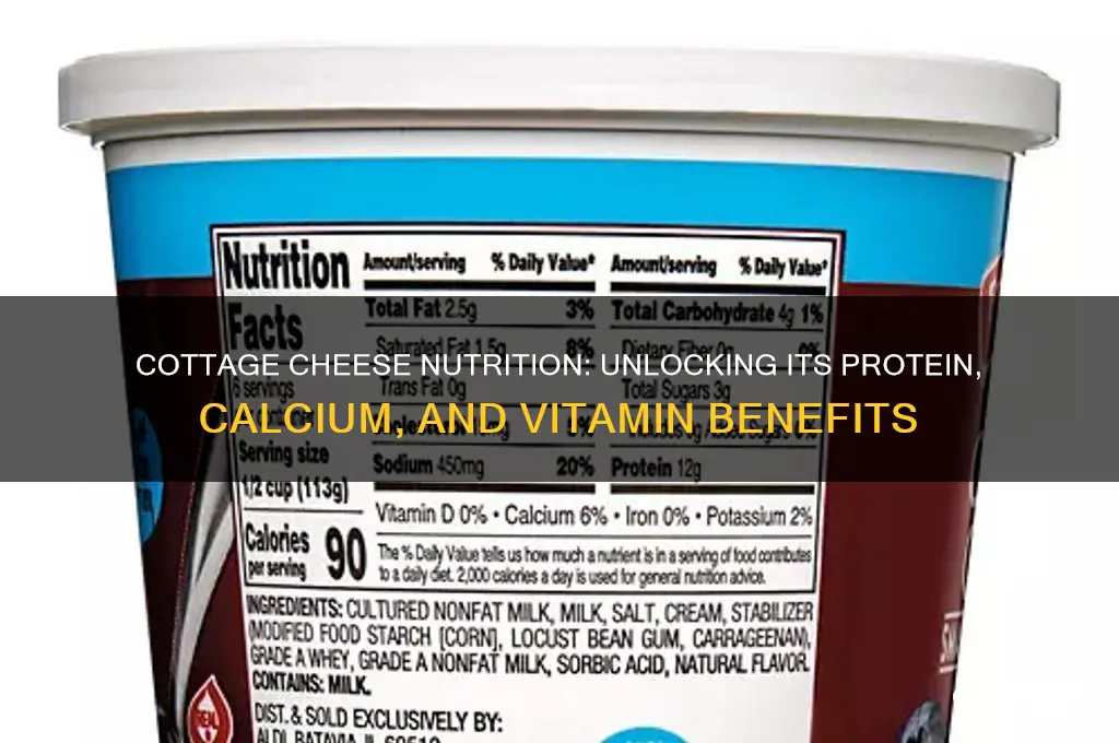 what is the nutritional content of cottage cheese
