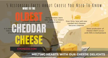 Unveiling the Ancient Cheddar: A Journey to the Oldest Cheddar Cheese