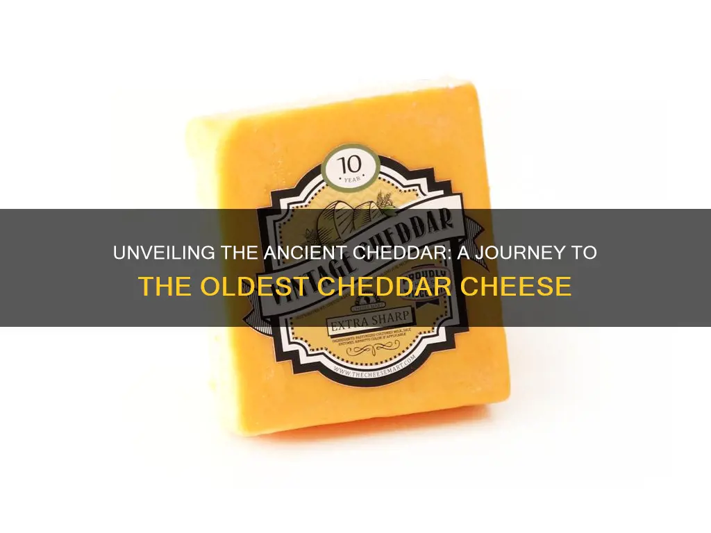 what is the oldest cheddar cheese