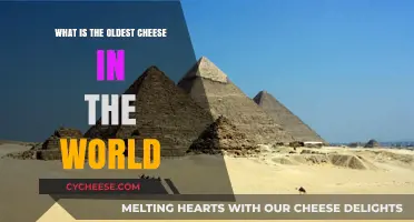 Unveiling the Ancient Origins of the World's Oldest Cheese