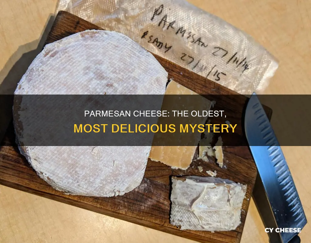 what is the oldest parmesan cheese