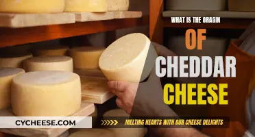 Unveiling Cheddar's Ancient Origins: A Cheesy Journey Through Time