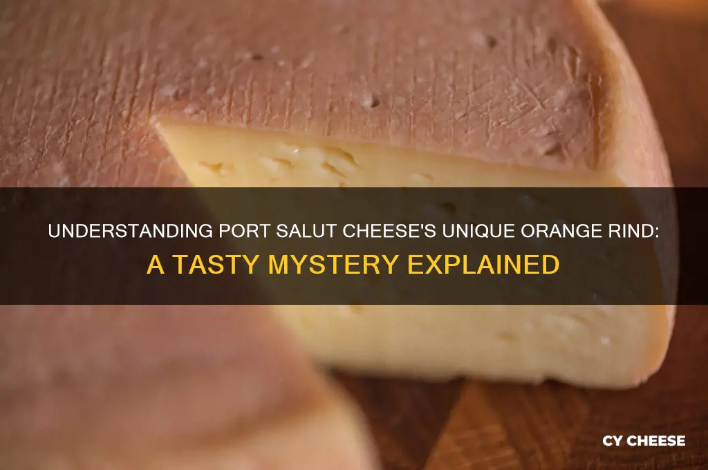 what is the orange skin on port salut cheese