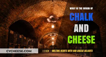 Unraveling the Surprising Origins of Chalk and Cheese: A Historical Journey