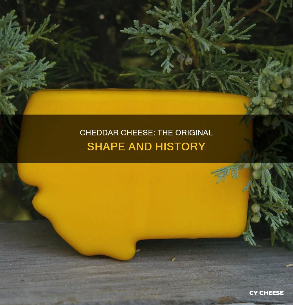 what is the original shape of cheddar cheese
