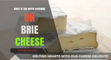 Understanding Brie's Outer Rind: The Edible Covering Explained