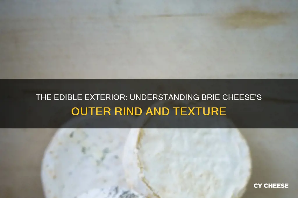 what is the outside of brie cheese called