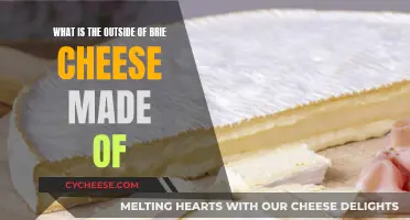 Brie Cheese: What's That Outer Layer?