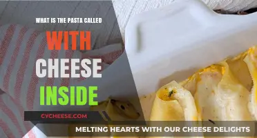 Discover the Cheesy Delight: Pasta with Cheese Inside Explained