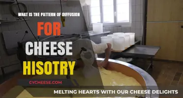 Tracing Cheese History: The Global Diffusion Pattern of Dairy Delights