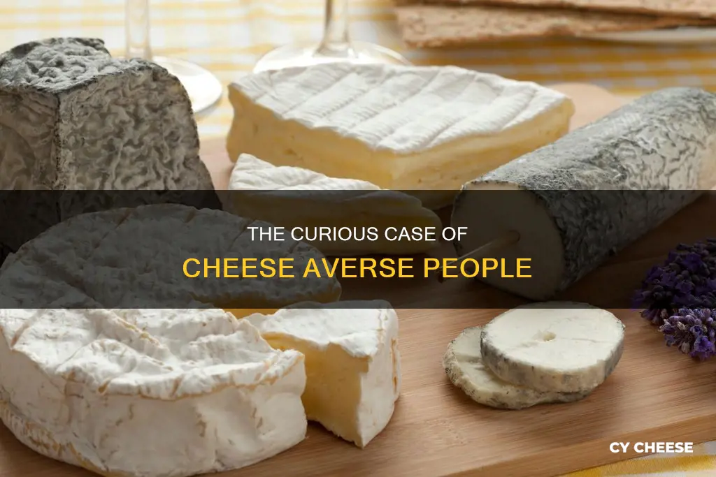 what is the person who doesnt like cheese