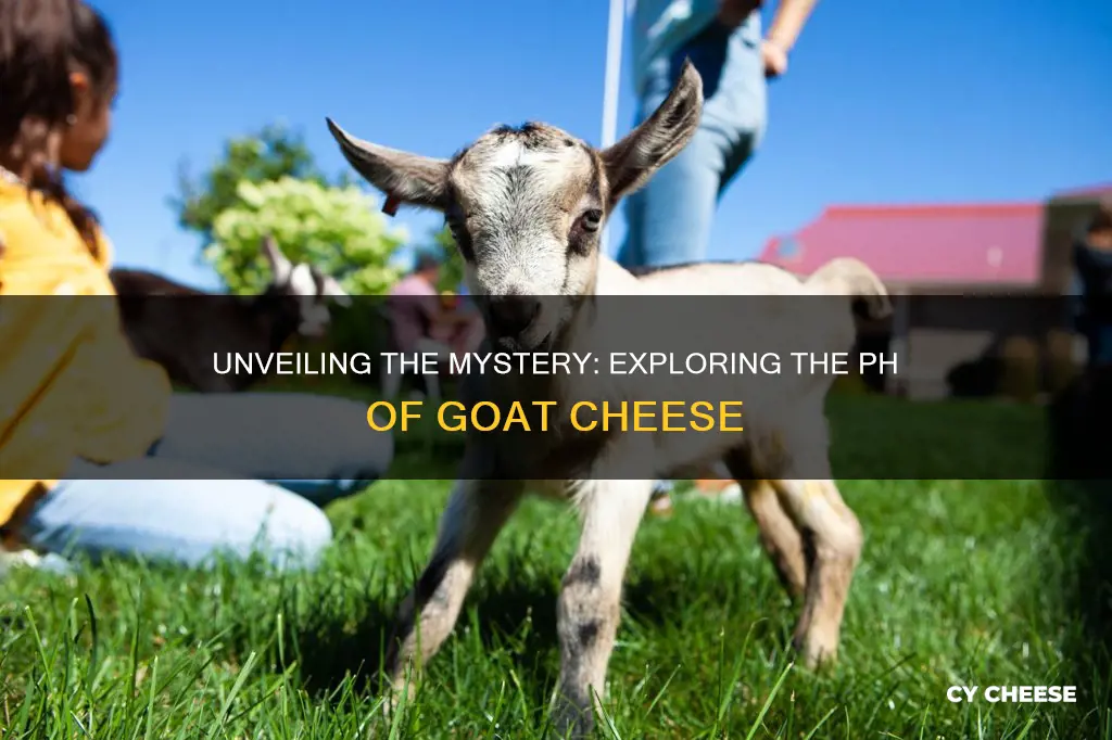 what is the ph of goat cheese