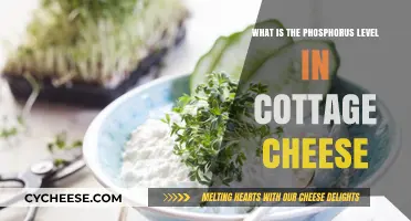 Understanding Phosphorus Content in Cottage Cheese: A Nutritional Breakdown