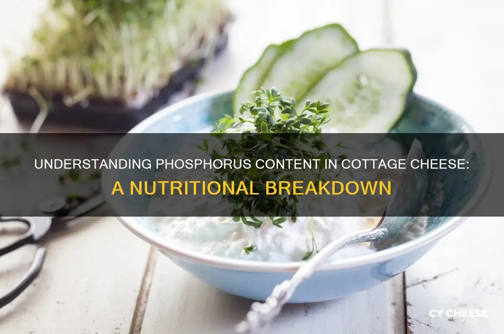 what is the phosphorus level in cottage cheese