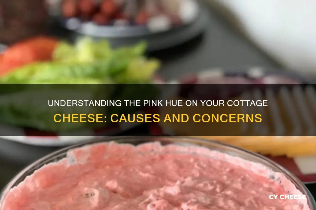 what is the pink color on my cottage cheese