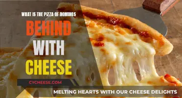 The Cheesy Dominos Pizza Mystery: Unveiling the Secret Behind the Iconic Pie