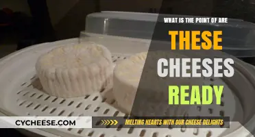 Are These Cheeses Ready? Understanding the Purpose Behind the Question