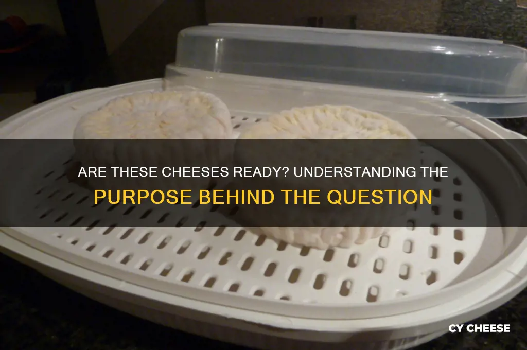 what is the point of are these cheeses ready