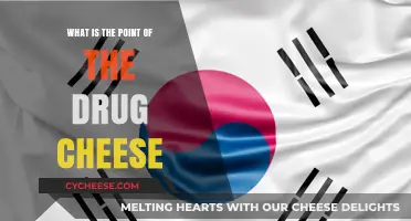 Unraveling the Mystery: What's the Point of the Drug Cheese?
